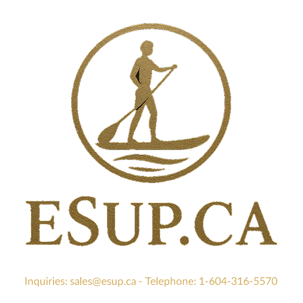 Fraser Valley website Design